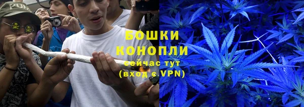 дживик Осташков