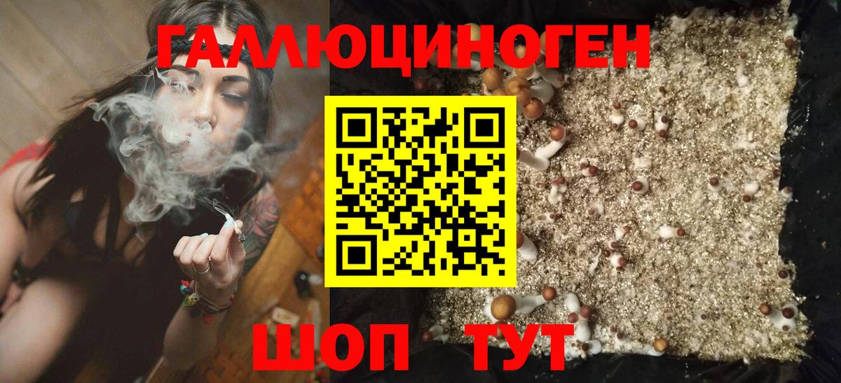Галлюциногенные грибы прущие грибы Истра